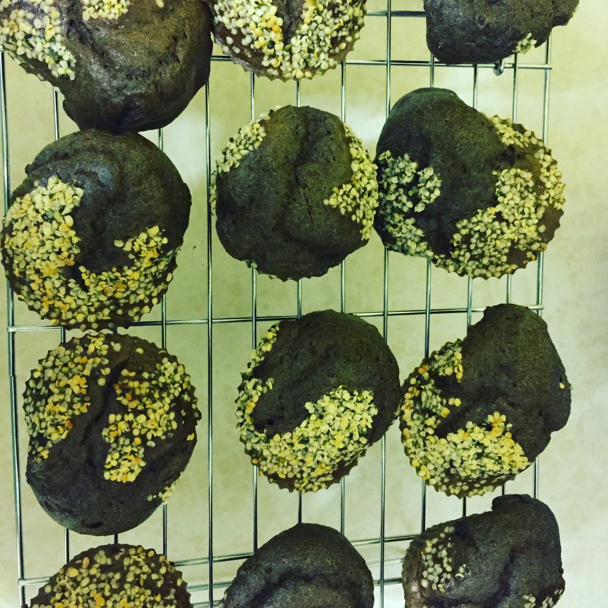 Jemp Chocolate Protein Muffins Recipe