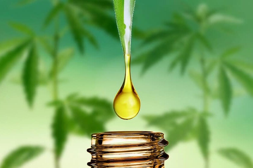 10 Facts about CBD