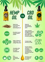 Hemp vs Cannabis: What’s the difference?